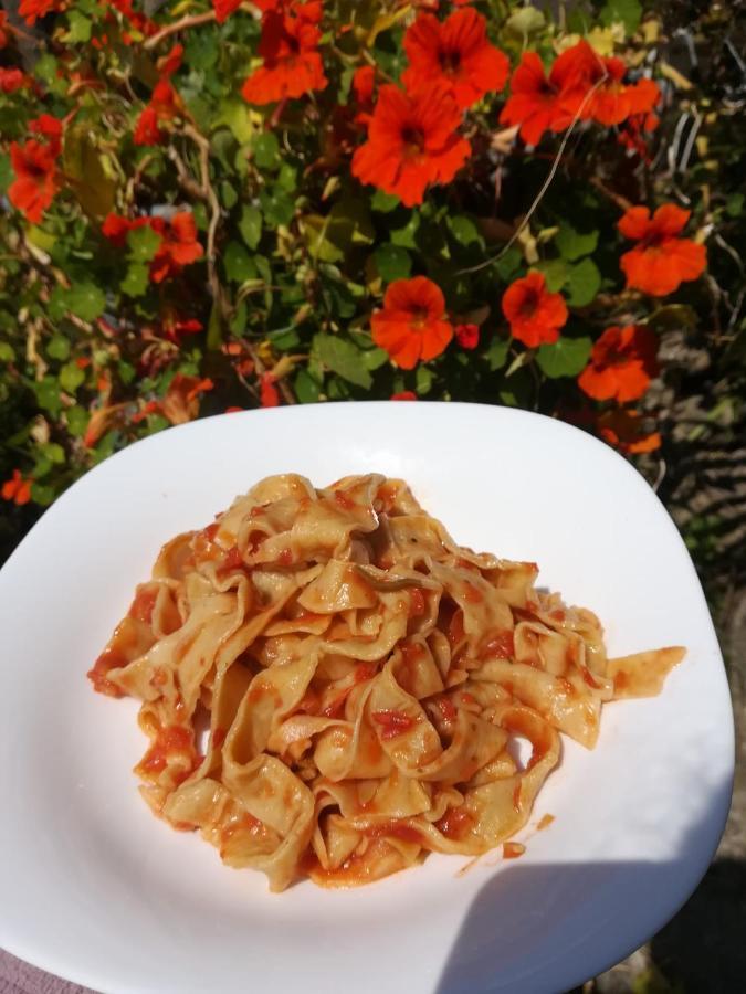 Agriturismo Terre Di Mare Bordighera Валекрозия Екстериор снимка
