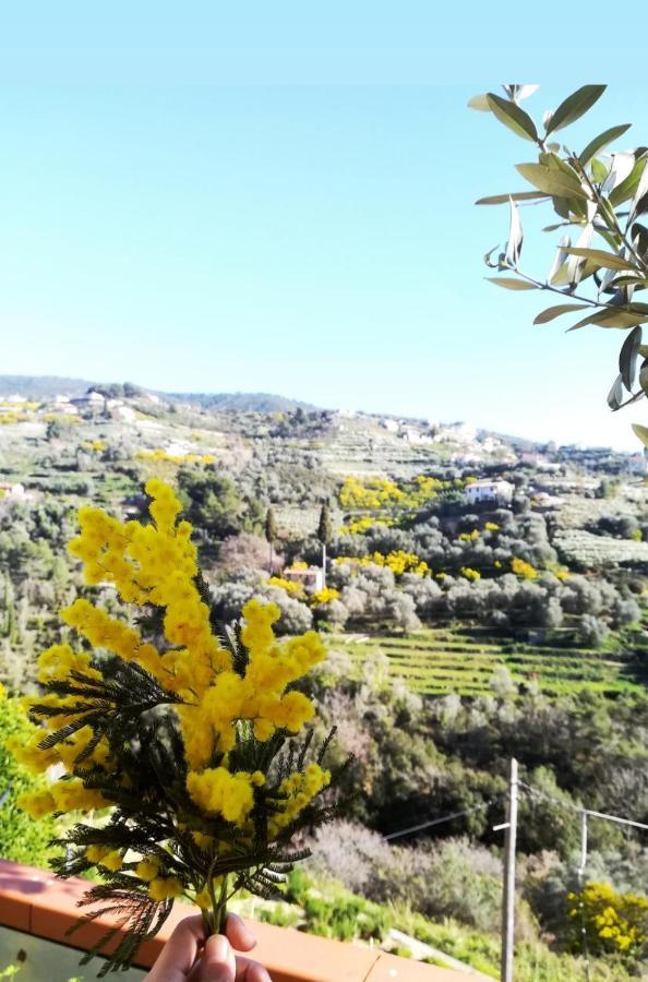 Agriturismo Terre Di Mare Bordighera Валекрозия Екстериор снимка