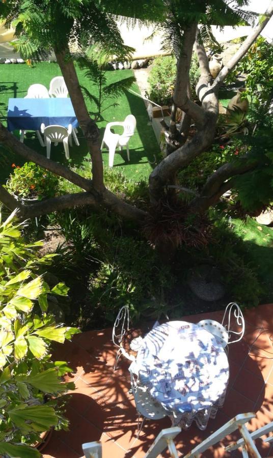 Agriturismo Terre Di Mare Bordighera Валекрозия Екстериор снимка