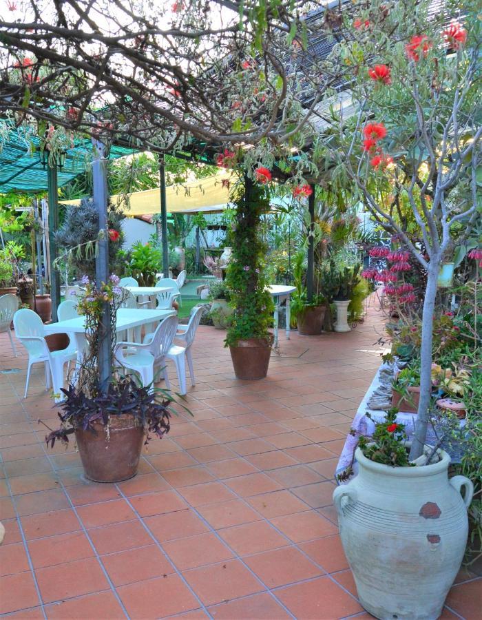 Agriturismo Terre Di Mare Bordighera Валекрозия Екстериор снимка