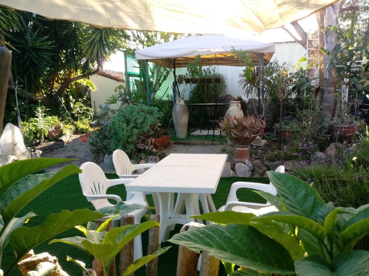 Agriturismo Terre Di Mare Bordighera Валекрозия Екстериор снимка